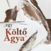 "egy Költő Agya"