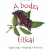 A bodza titkai - Egészség, szépség, konyha