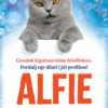 Alfie új munkát kap – Tanulj önismeretet egy bölcs cicától!