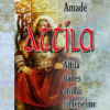 Attila Attila fiai és utódai történelme - II.kötet