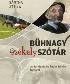 Bühnagy székely szótár