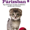 Egy macska Párizsban