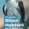 Milyen ragadozó madár és bagoly ez?