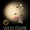 Vedd észre