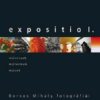 Expositio 1. - Borsos Mihály fotográfiái