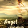 Angel - Újjászületés
