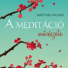 A meditáció művészete
