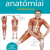 A nyújtás anatómiai kézikönyve