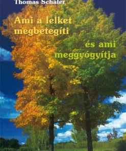 Ami a lelket megbetegíti és ami meggyógyítja