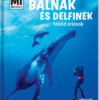 Bálnák és delfinek