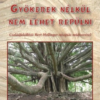 Gyökerek nélkül nem lehet repülni