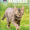 Macskák- doromboló ragadozók