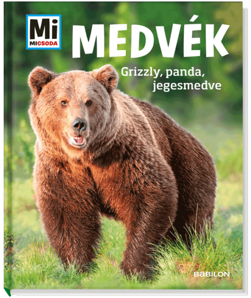 Medvék - Mi MICSODA