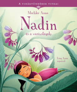 Nadin és a varázstégely