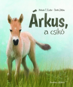 Árkus, a csikó