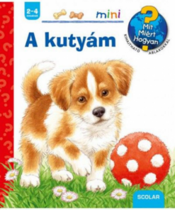 Alternative view of A kutyám