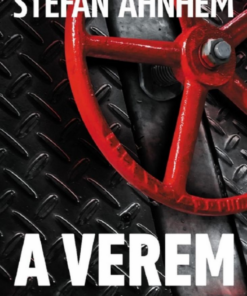 Alternative view of A verem