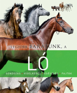 Alternative view of Legjobb barátunk a ló