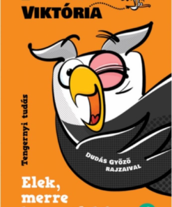 Alternative view of Elek, merre keresselek?
