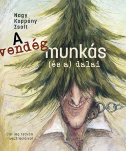 Alternative view of A vendégmunkás (és a) dalai