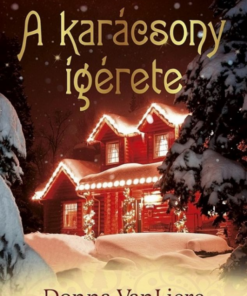 Alternative view of A karácsony ígérete