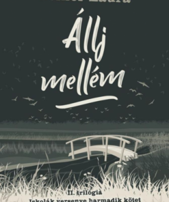 Alternative view of Állj mellém