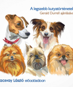 Alternative view of A legszebb kutyatörténetek - hangoskönyv