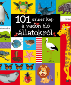 Alternative view of 101 színes kép a vadon élő állatokról