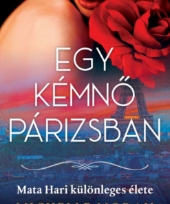 Alternative view of Egy kémnő Párizsban