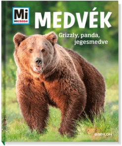 Alternative view of Medvék - Mi MICSODA