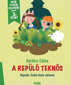 Alternative view of A repülő teknős