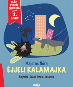 Alternative view of Éjjeli kalamajka