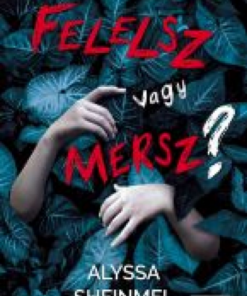 Alternative view of Felelsz vagy mersz?