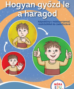 Alternative view of Hogyan győzd le a haragod