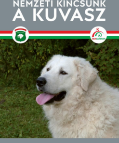 Alternative view of Nemzeti kincsünk a kuvasz