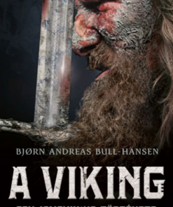 Alternative view of A viking