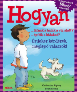 Alternative view of Hogyan… látnak a halak a víz alatt? …építik a hidakat?
