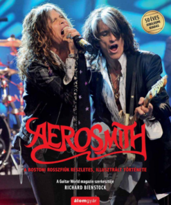 Alternative view of Aerosmith