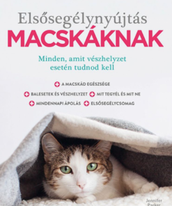 Alternative view of Elsősegélynyújtás macskáknak