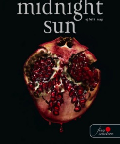 Alternative view of Midnight Sun - Éjféli nap