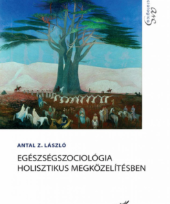 Alternative view of Egészségszociológia holisztikus megközelítésben