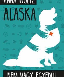 Alternative view of Alaska