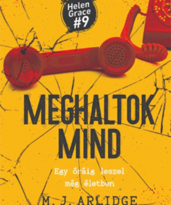 Alternative view of Meghaltok mind