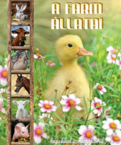Alternative view of Farm állatai - Képekkel a világ körül