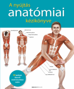 Alternative view of A nyújtás anatómiai kézikönyve