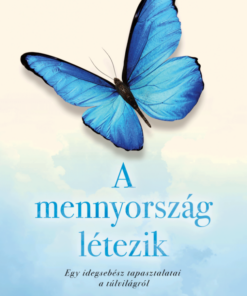 Alternative view of A mennyország létezik