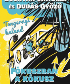 Alternative view of Fókuszban a kókusz