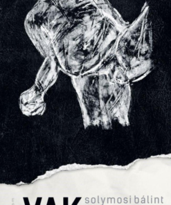 Alternative view of Vakrepülés