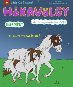 Alternative view of Hókavölgy 11. - Kikeleti Találkozó