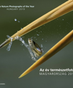 Alternative view of Az év természetfotói - Magyarország 2019 - The Nature Photographs of the Year - Hungary 2019